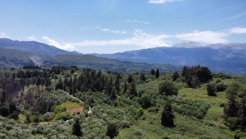 Kalamitsi Amigdali Kreta, Kalamitsi: Venezianisches Steinhaus mit angrenzendem landwirtschaftlichen Nutzland zu verkaufen Haus kaufen